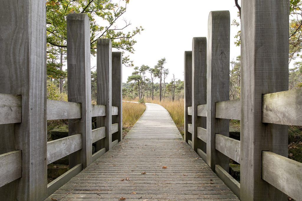 WeConnext omgeving-03