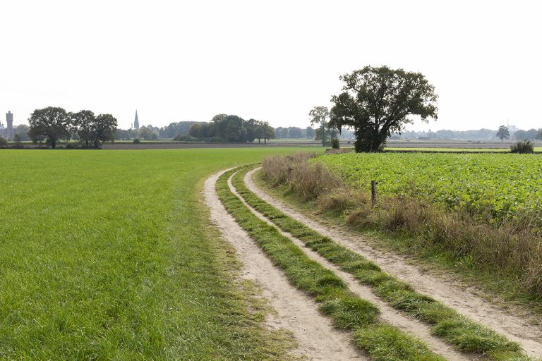 WeConnext omgeving